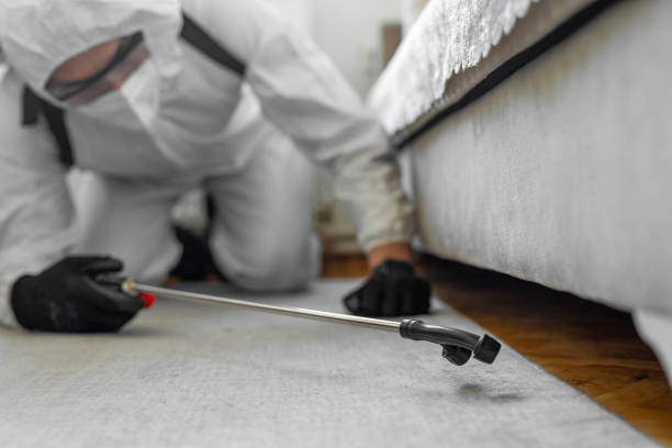 Professional Bed Bug Control technician working in Monte Alto, TX